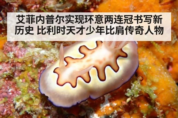 艾菲内普尔实现环意两连冠书写新历史 比利时天才少年比肩传奇人物