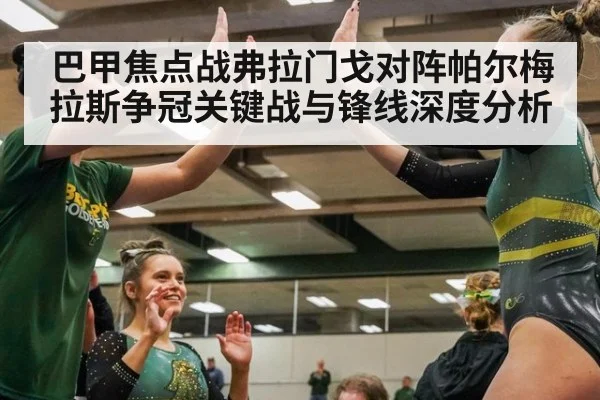 巴甲焦点战弗拉门戈对阵帕尔梅拉斯争冠关键战与锋线深度分析