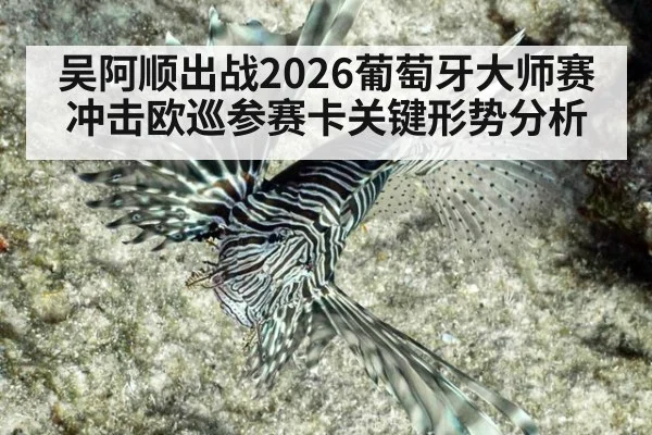 吴阿顺出战2026葡萄牙大师赛冲击欧巡参赛卡关键形势分析